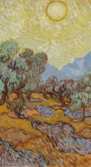 Gogh van Biography of