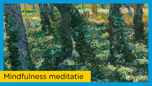 Thumbnail voor de video Mindfulness meditatie met afbeelding van het schilderij Kreupelhout van Vincent van Gogh